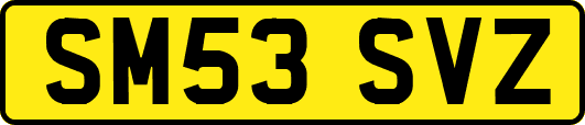 SM53SVZ