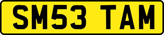 SM53TAM