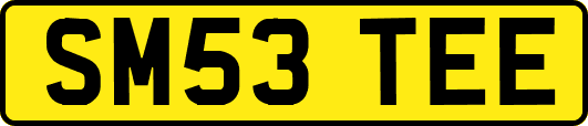 SM53TEE