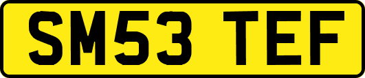 SM53TEF
