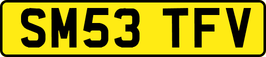 SM53TFV