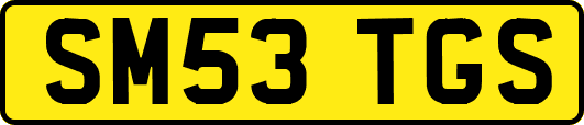 SM53TGS