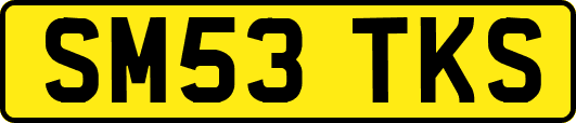 SM53TKS
