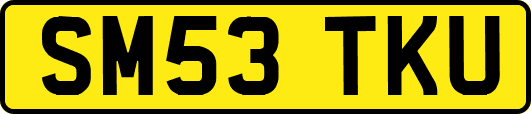 SM53TKU