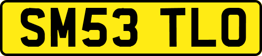 SM53TLO