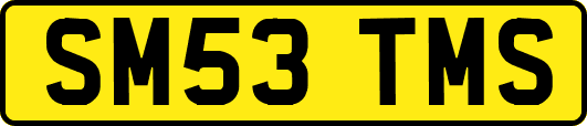 SM53TMS
