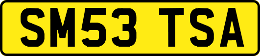 SM53TSA