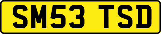 SM53TSD