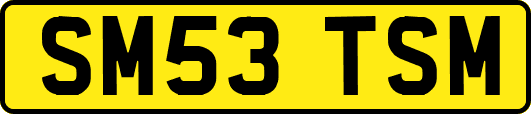 SM53TSM
