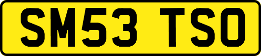 SM53TSO