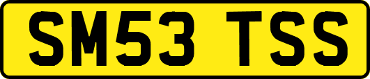 SM53TSS