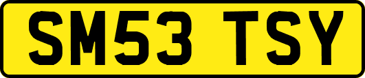 SM53TSY