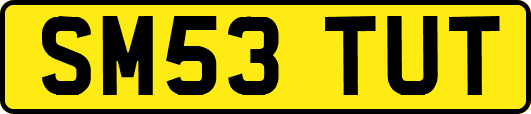 SM53TUT