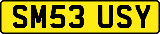 SM53USY