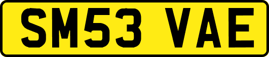 SM53VAE