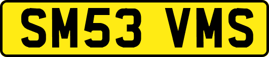SM53VMS