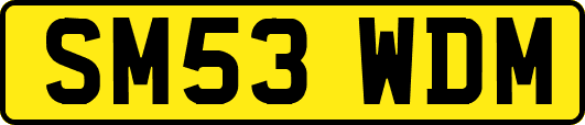 SM53WDM