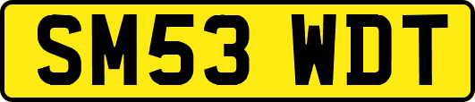 SM53WDT