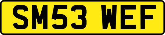 SM53WEF