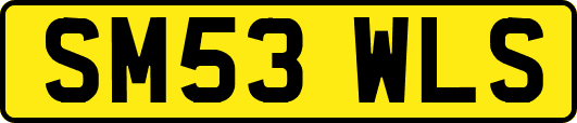 SM53WLS