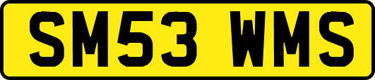 SM53WMS
