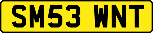 SM53WNT