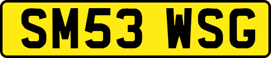 SM53WSG