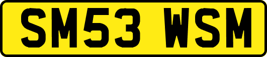 SM53WSM