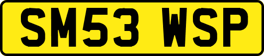 SM53WSP