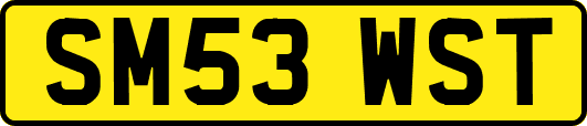 SM53WST