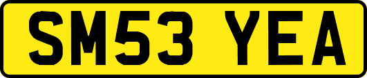 SM53YEA