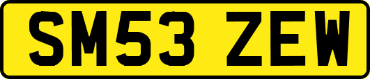 SM53ZEW
