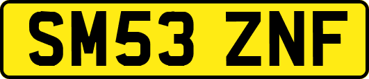 SM53ZNF