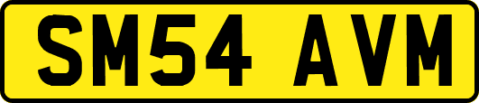 SM54AVM