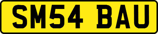 SM54BAU