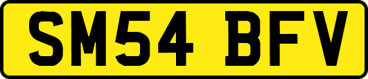 SM54BFV