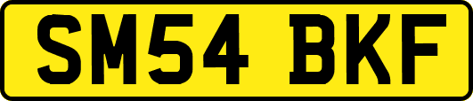 SM54BKF
