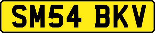 SM54BKV