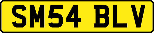 SM54BLV