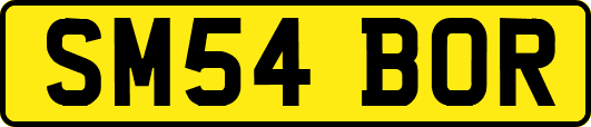 SM54BOR