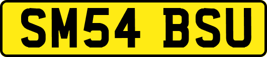 SM54BSU