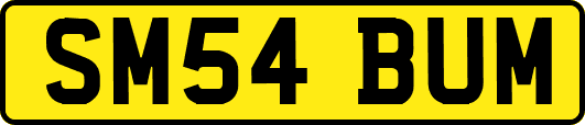 SM54BUM