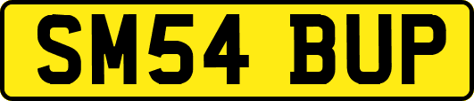 SM54BUP