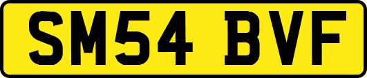 SM54BVF