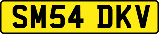 SM54DKV