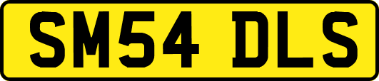 SM54DLS