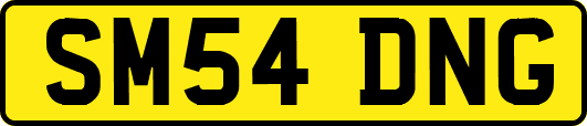 SM54DNG