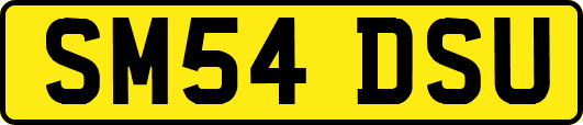 SM54DSU