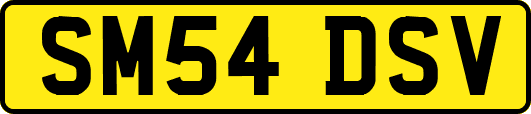SM54DSV