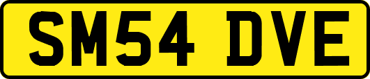 SM54DVE